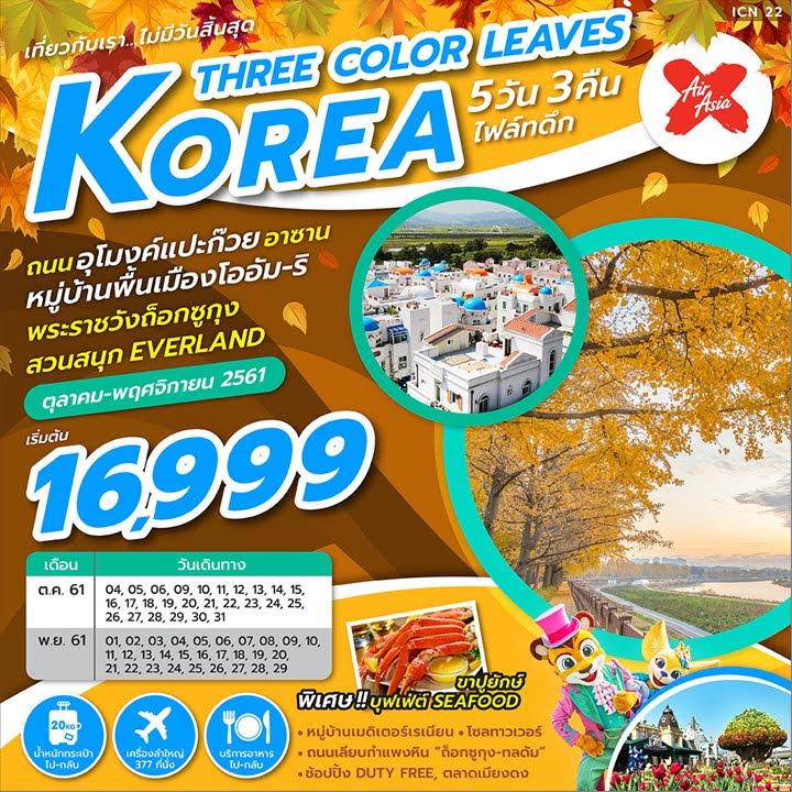 ทัวร์เกาหลี KOREA THREE COLOUR LEAVES 5D3N (NOV18) ICN22