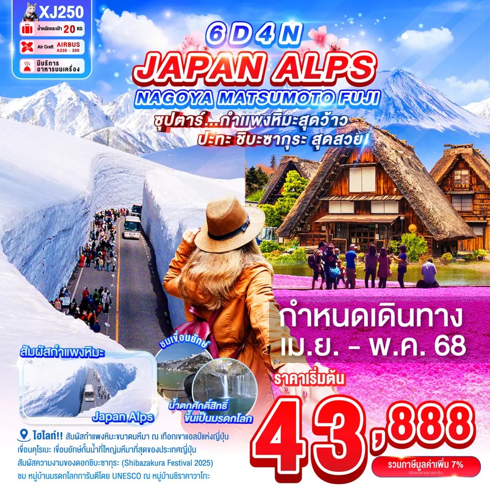 ซุปตาร์กำเเพงหิมะสุดว้าว-ปะทะ-ชิบะซากุระ-สุดสวย!-NAGOYA-MATSUMOTO-FUJI-JAPAN-ALPS-6D-4N-