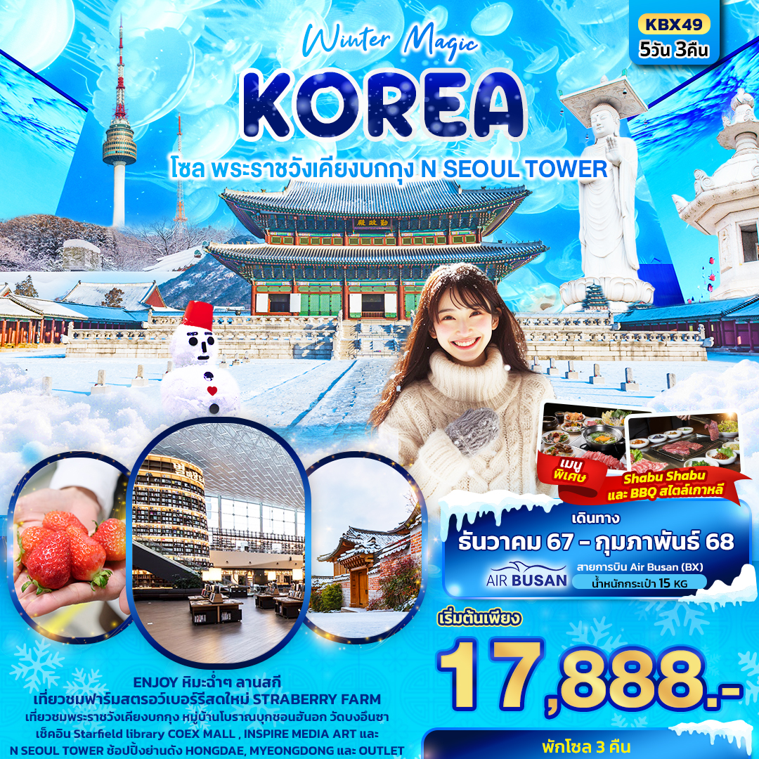 Winter-Magic-Korea-Seoul-โซล-พระราชวังเคียงบกกุก-N-SEOUL-TOWER-5วัน-3คืน